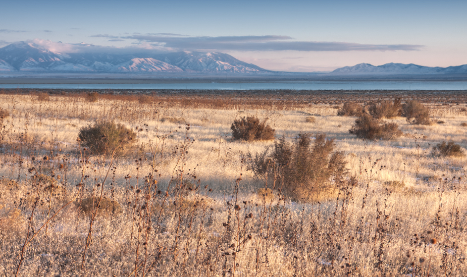 1.0E9 Stansbury Island