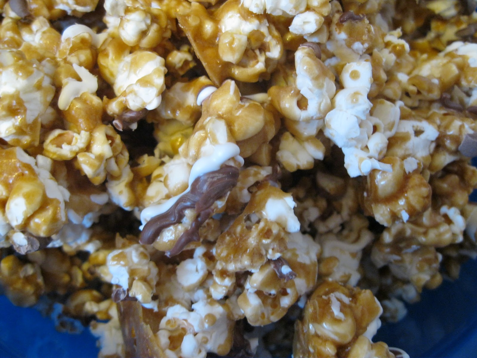 Zebra Popcorn Idea Closet