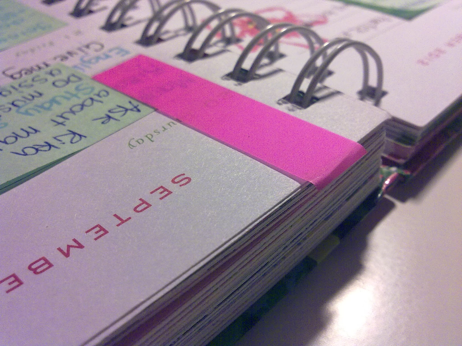 Get Organized...? Agenda Organization And Tips With My Lily Pulitzer