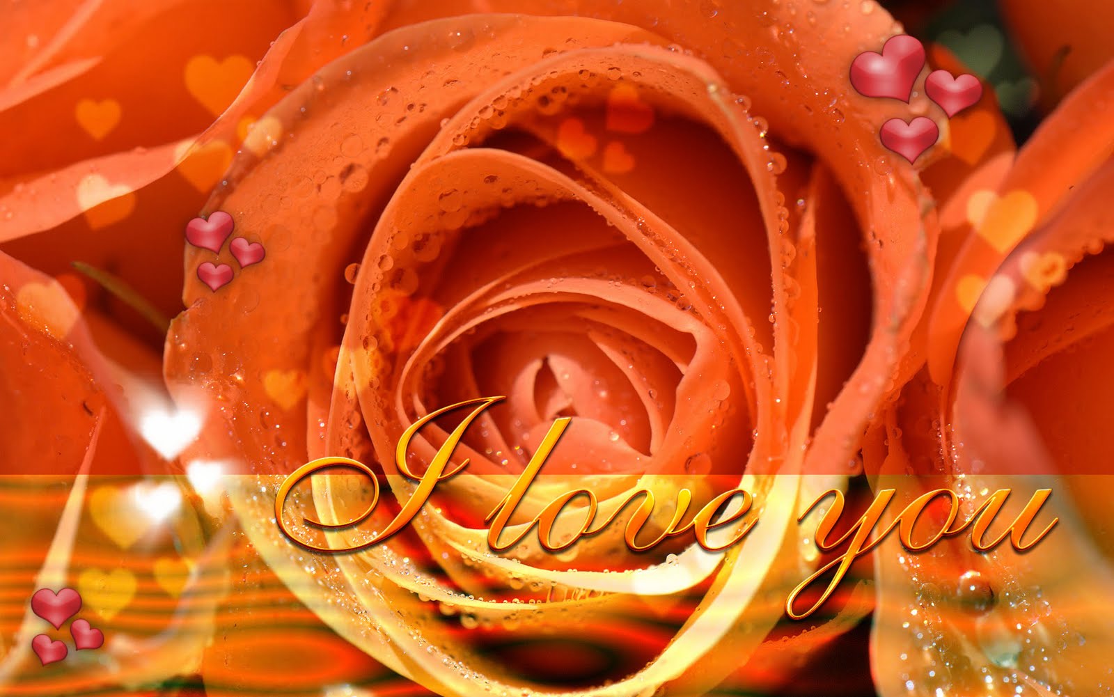 i love you wallpaper i love you wallpaper