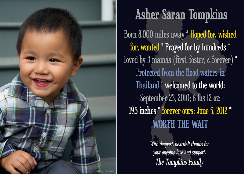 brazenlilly designs adoption announcements