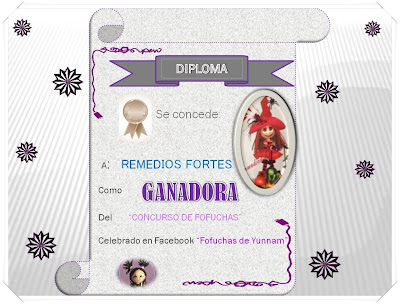 DIPLOMA CONCURSO DE FOFUCHAS