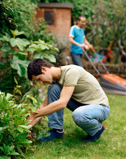 Do Some Landscaping Do Some Landscaping