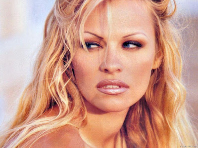 High Resolution Pamela Anderson Photos widescreen 43 