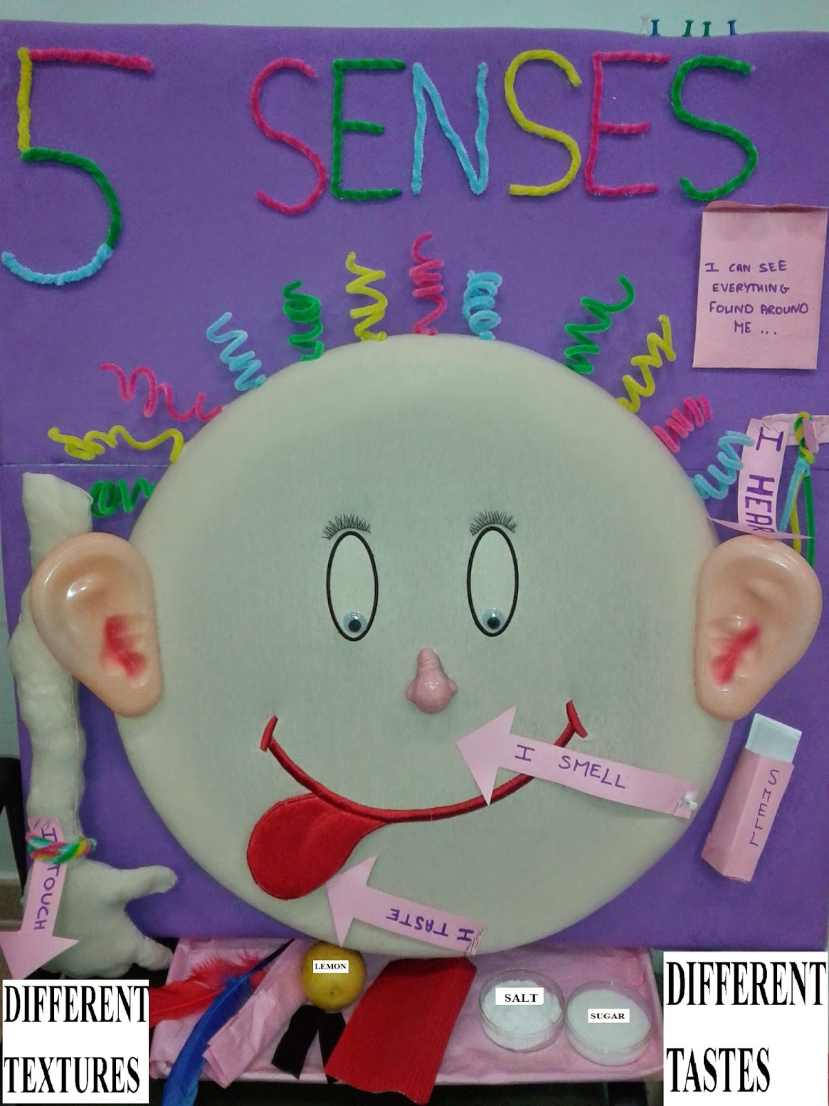The Five Senses in ECE Bulletin Boards