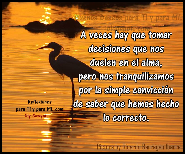 Ver las imágenes de origen