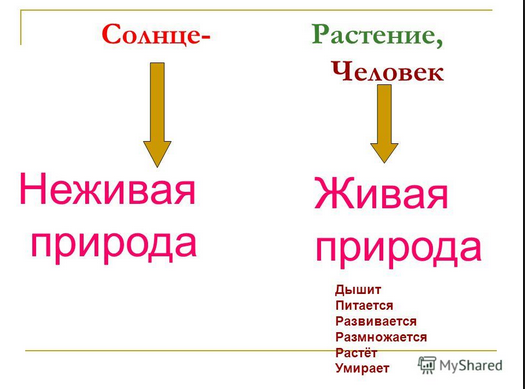 Как связать рукав реглан своими руками Как вязать рукав спицами без выкройки