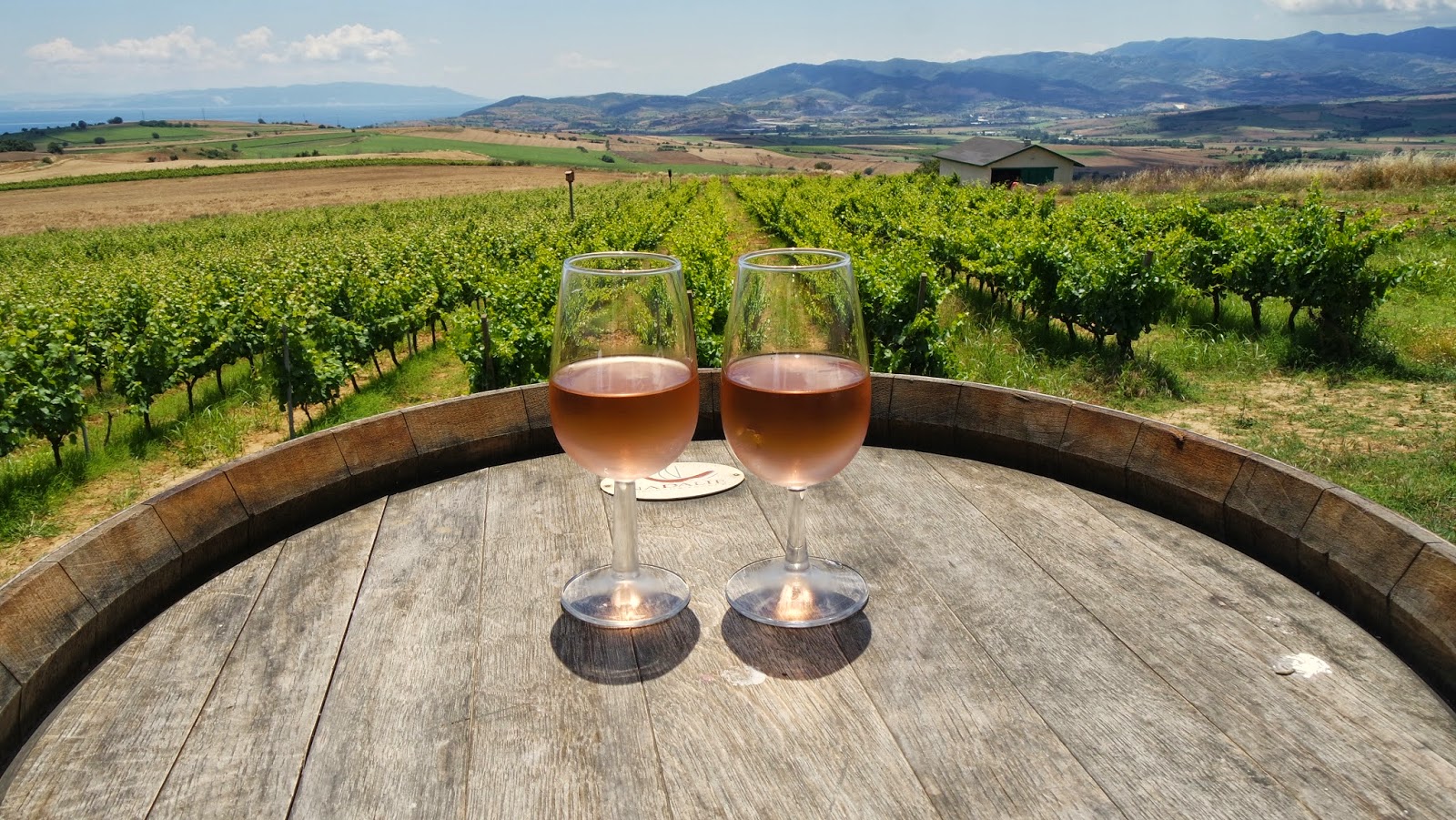 kucuk martha is basinda kucuk martha ile barbaros bag evi gurme gezisi