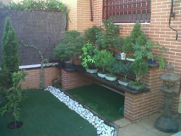 Cultivo Fácil del Bonsai: noviembre 2013