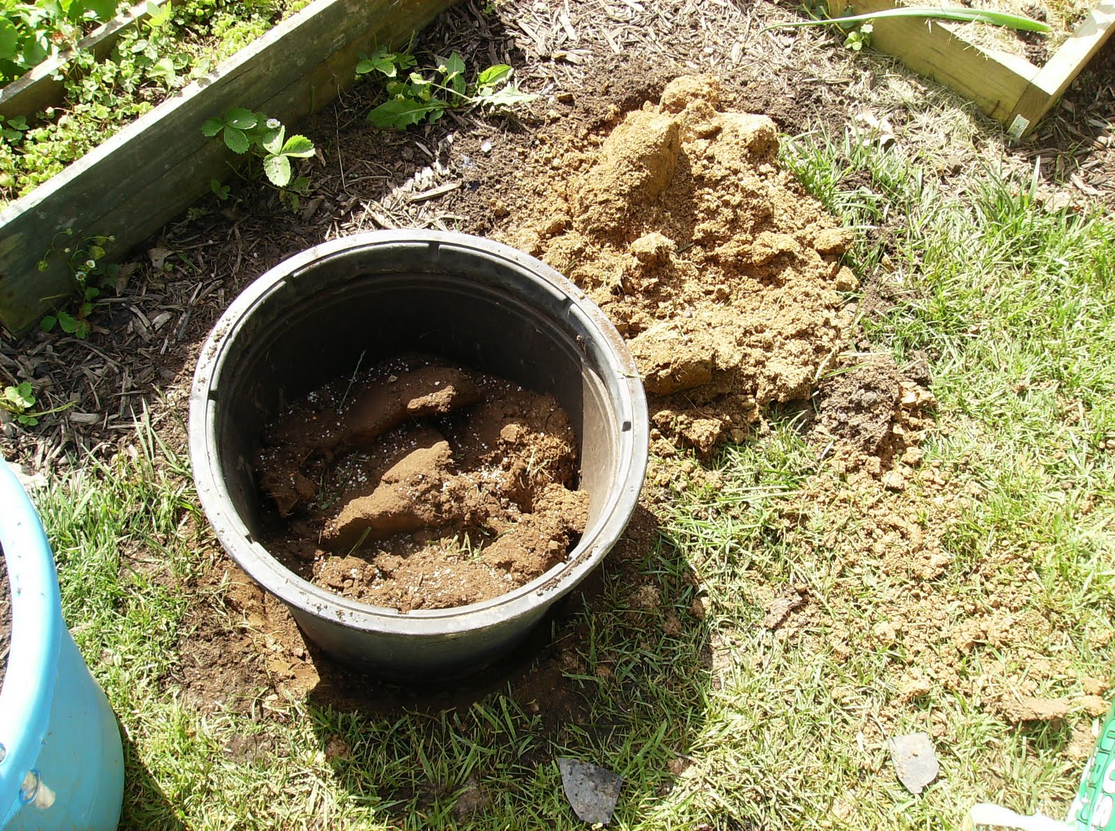 How to Build a Sunken Vegetable Container Garden In Pictures The