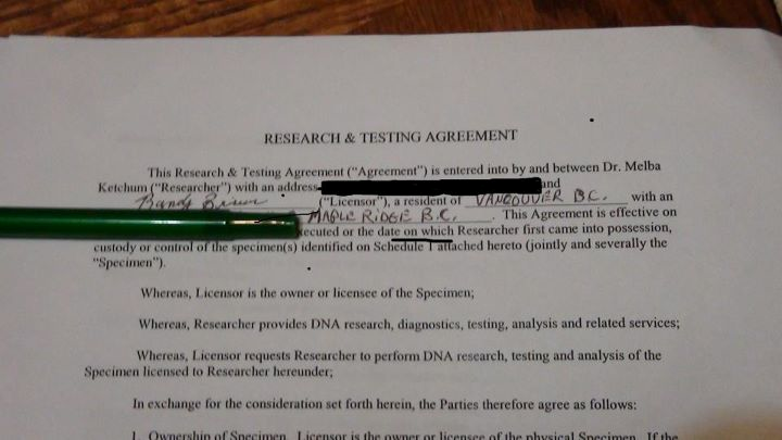 Home Paternity Test Canada Walmart Home Paternity Test Canada Walmart