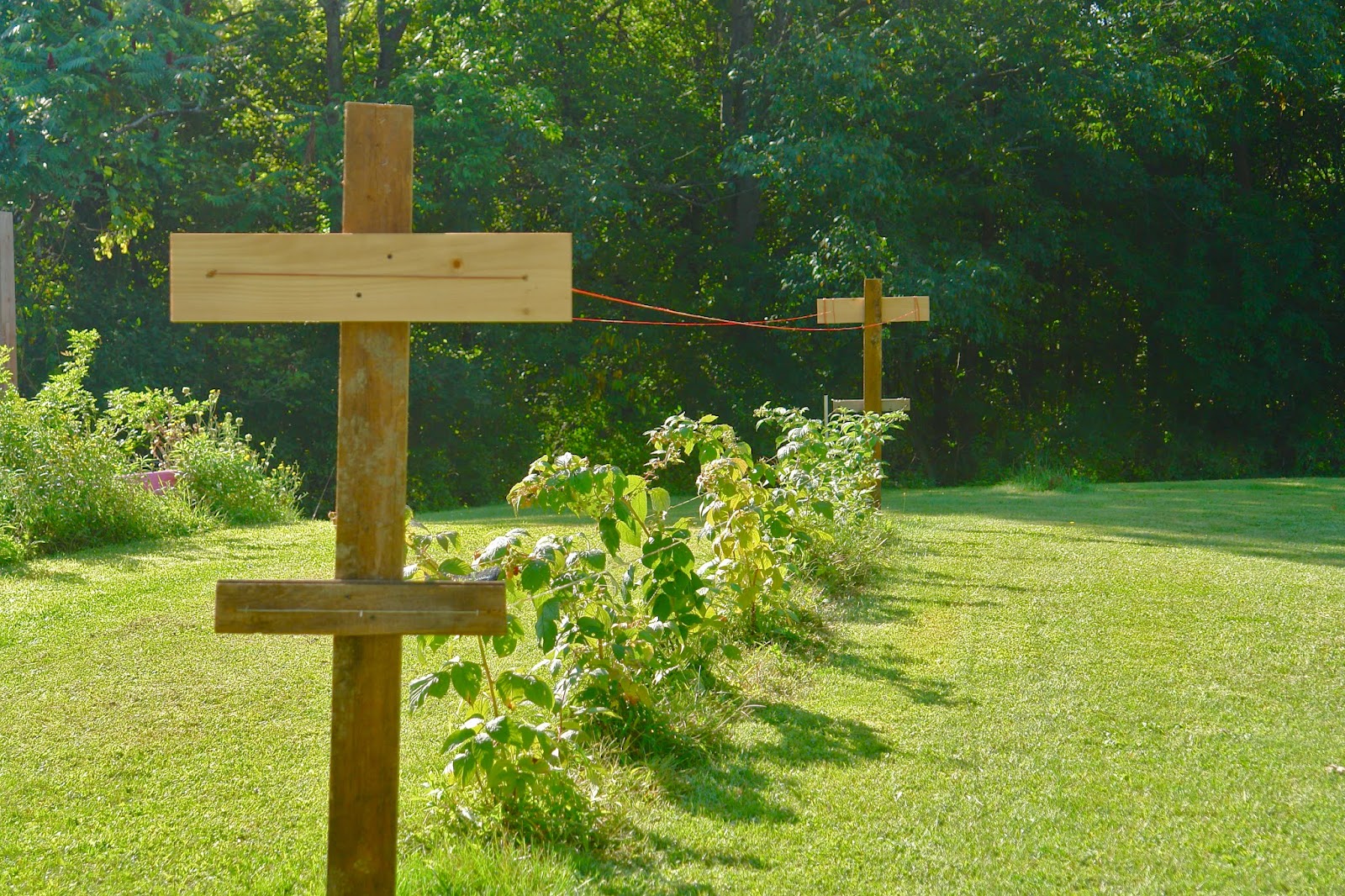 REDWOODSHIRE learning to grow; growing to learn