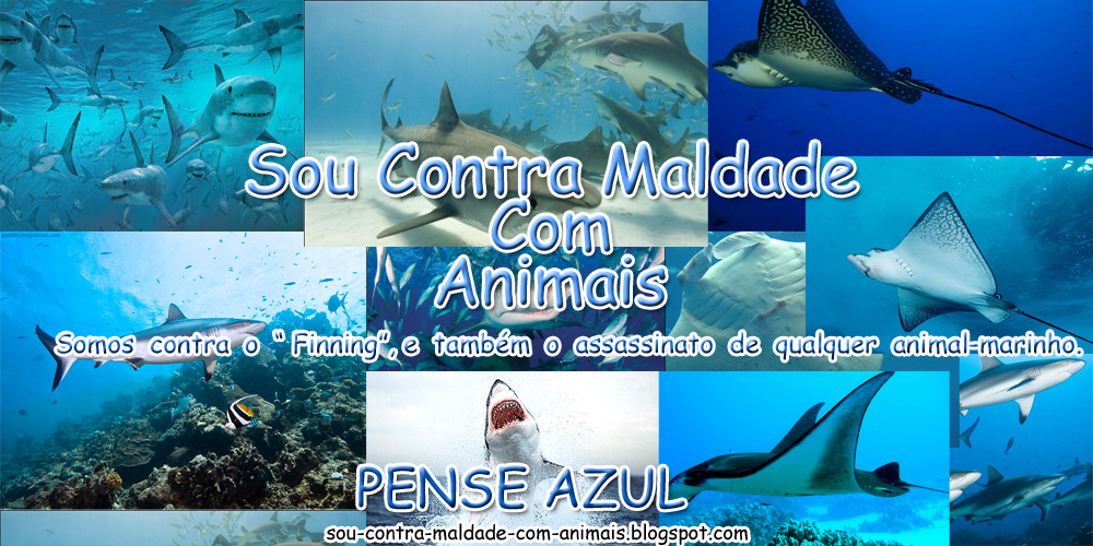 Ame os animais!