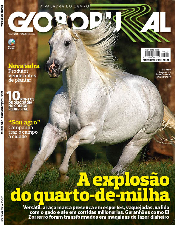 5 esportes com cavalo - Revista Globo Rural