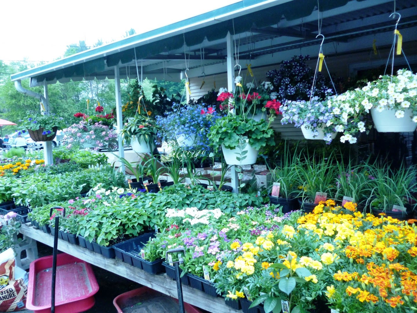 Writing Straight from the Heart Roadside Flower Stands