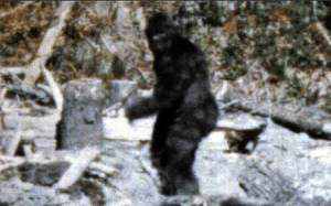 Bigfoot 10 Misteri di Dunia Yang Belum Terpecahkan