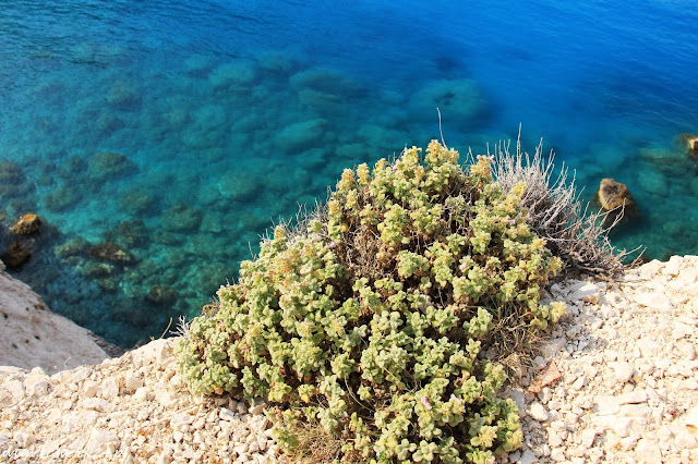 Lefkada Porto Katsiki