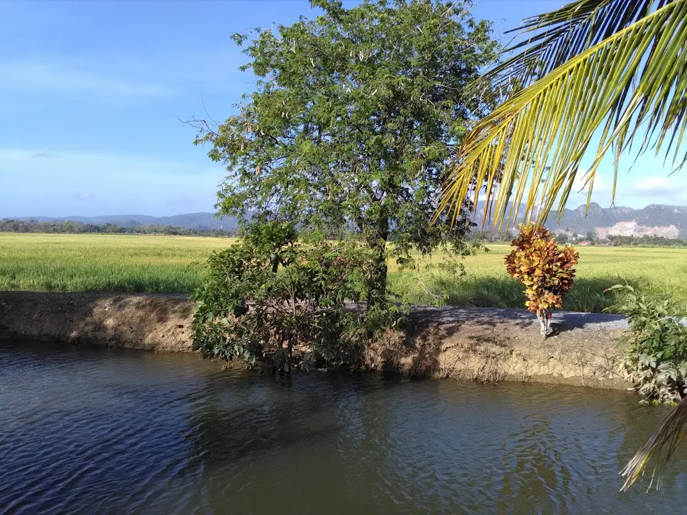 Kampung  Tok Gajah