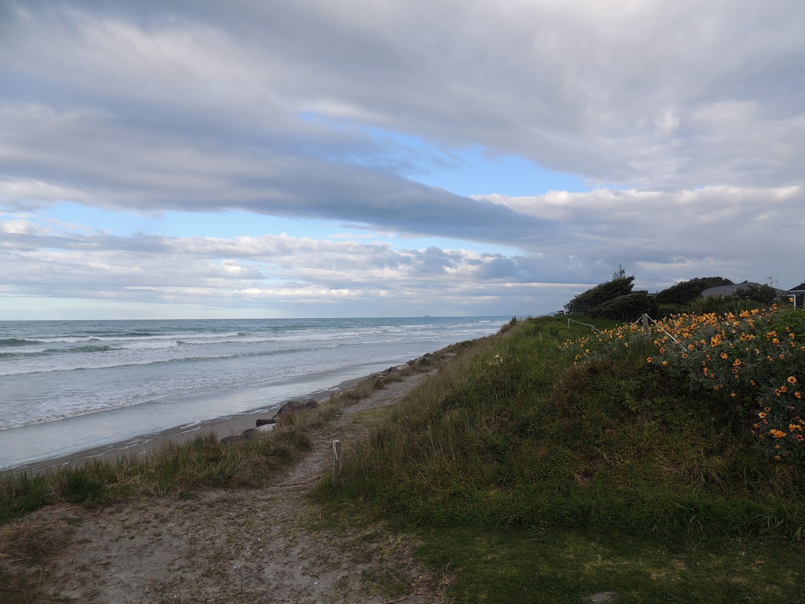 THE ROAD TAKEN Waihi Beach