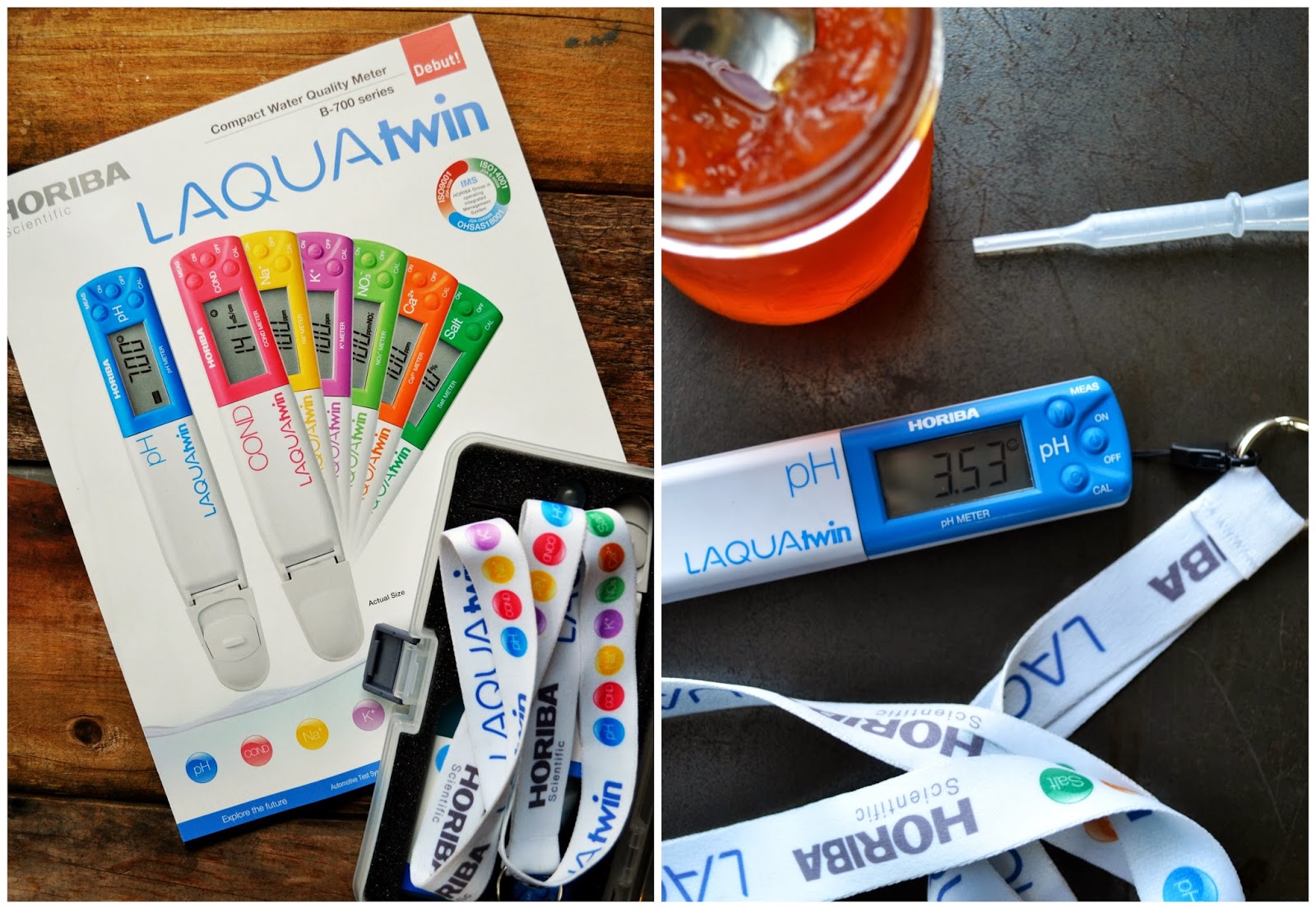 Testing home canning with the LAQUAtwin pH meter