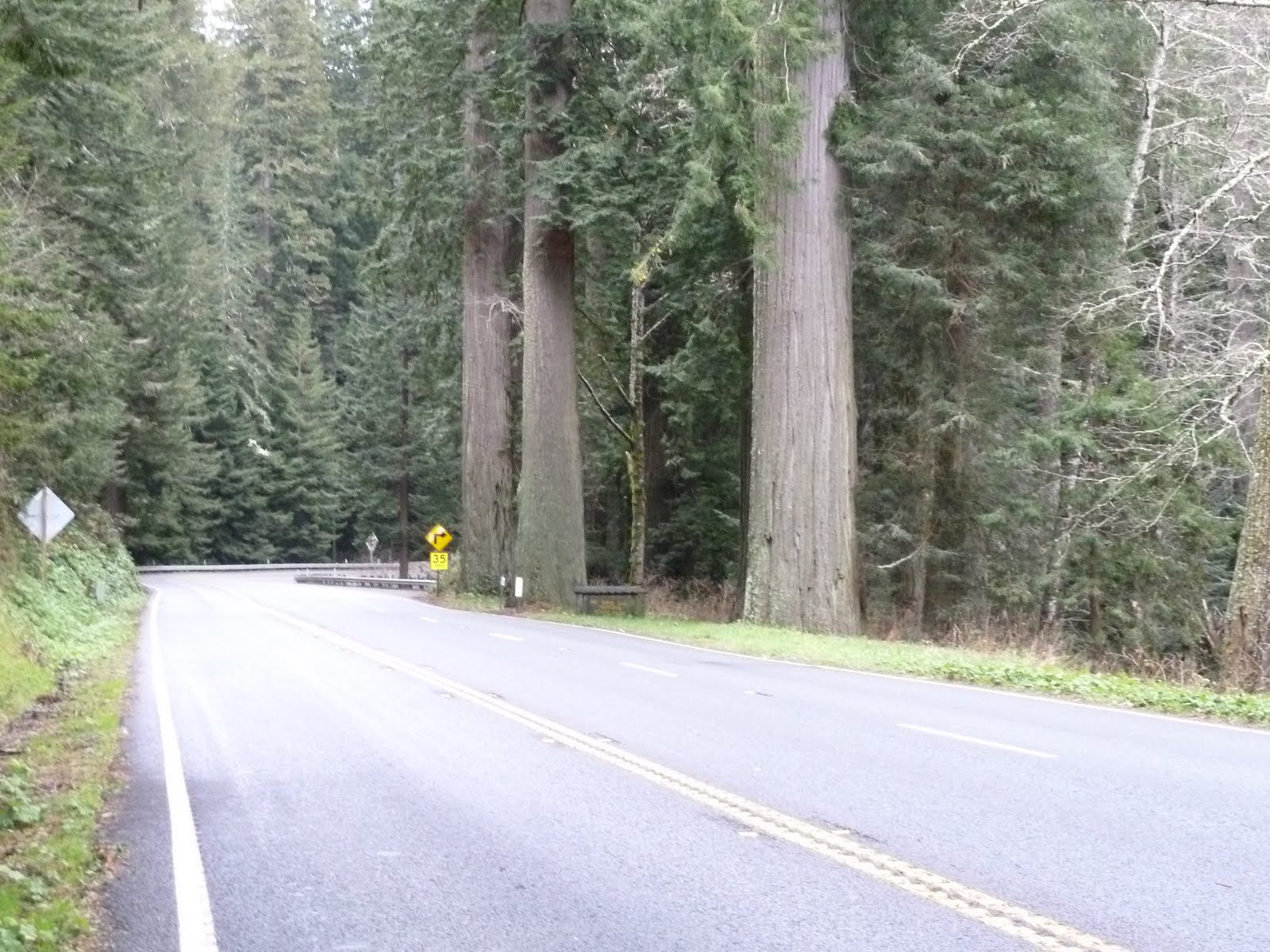 seniors walking across america DAY 46 CRESCENT CITY TREES OF MYSTERY