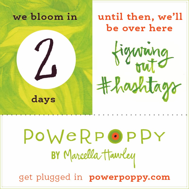 http://powerpoppy.com/