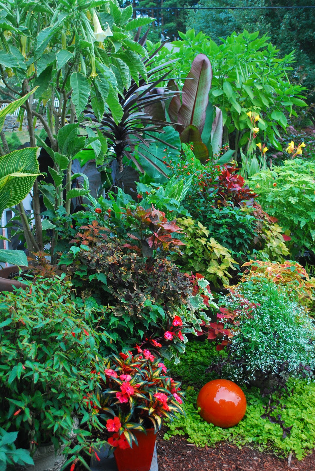 GardenBook: Container Mania in New Hampshire