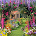 Luxurious Flower Garden Images