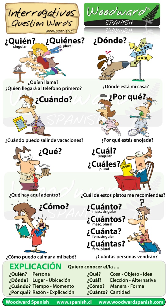 Clases de sol en Bélgica: Los interrogativos