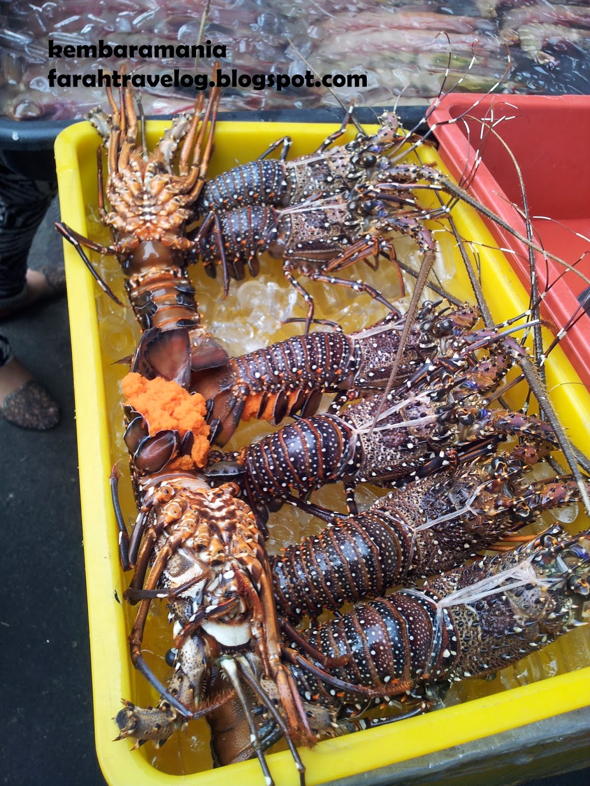 Blog Kembara Mania: Seafood di Kota Kinabalu, Sabah