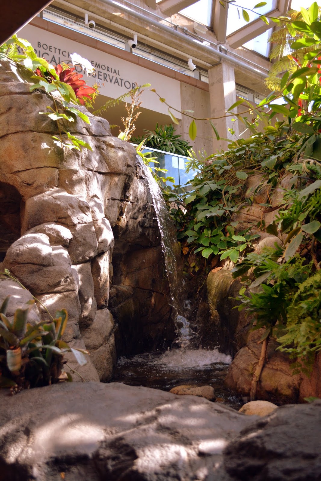 Mille Fiori Favoriti: The Denver Botanic Garden in Autumn