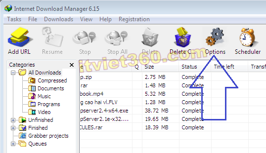 Options Internet Download Manager