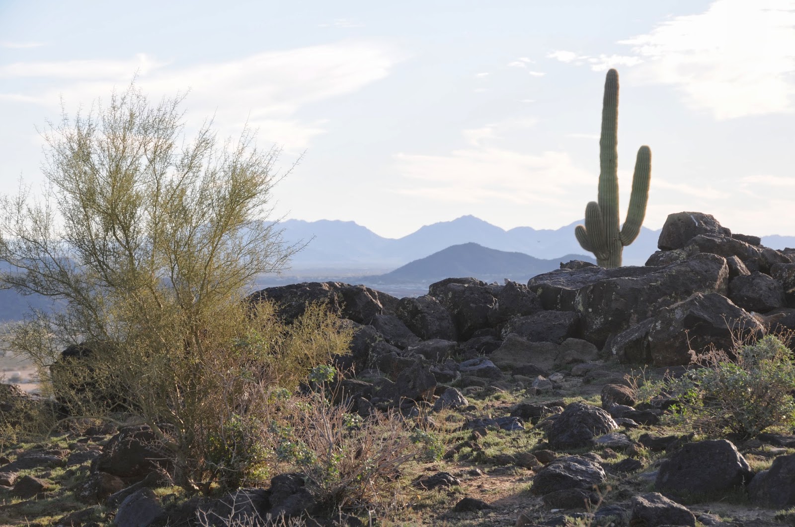 Arizona Hiking THUNDERBIRD CONSERVATION PARK