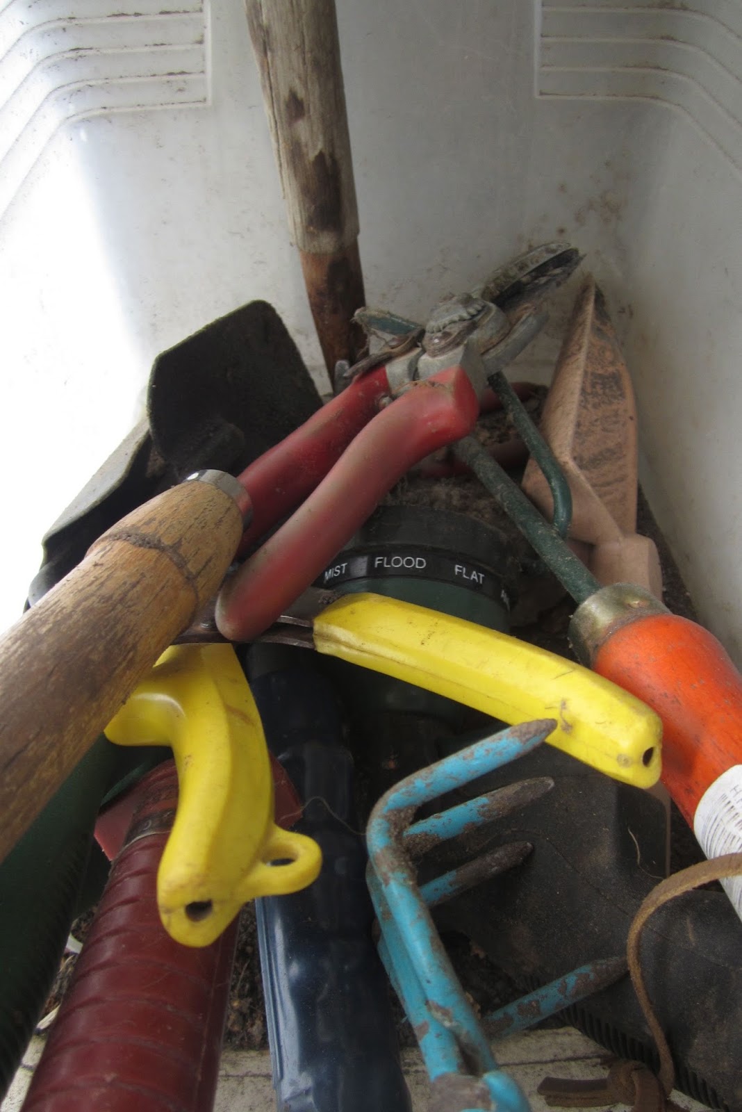 Life Is What Happens The Sheeny Man