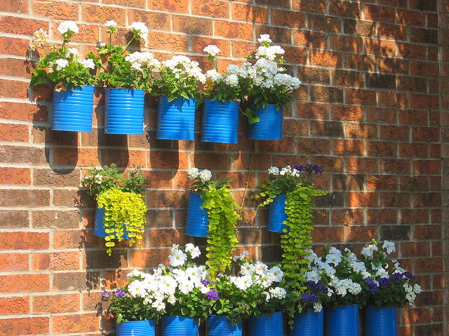 Jardim vertical feito com latas de molho de tomate