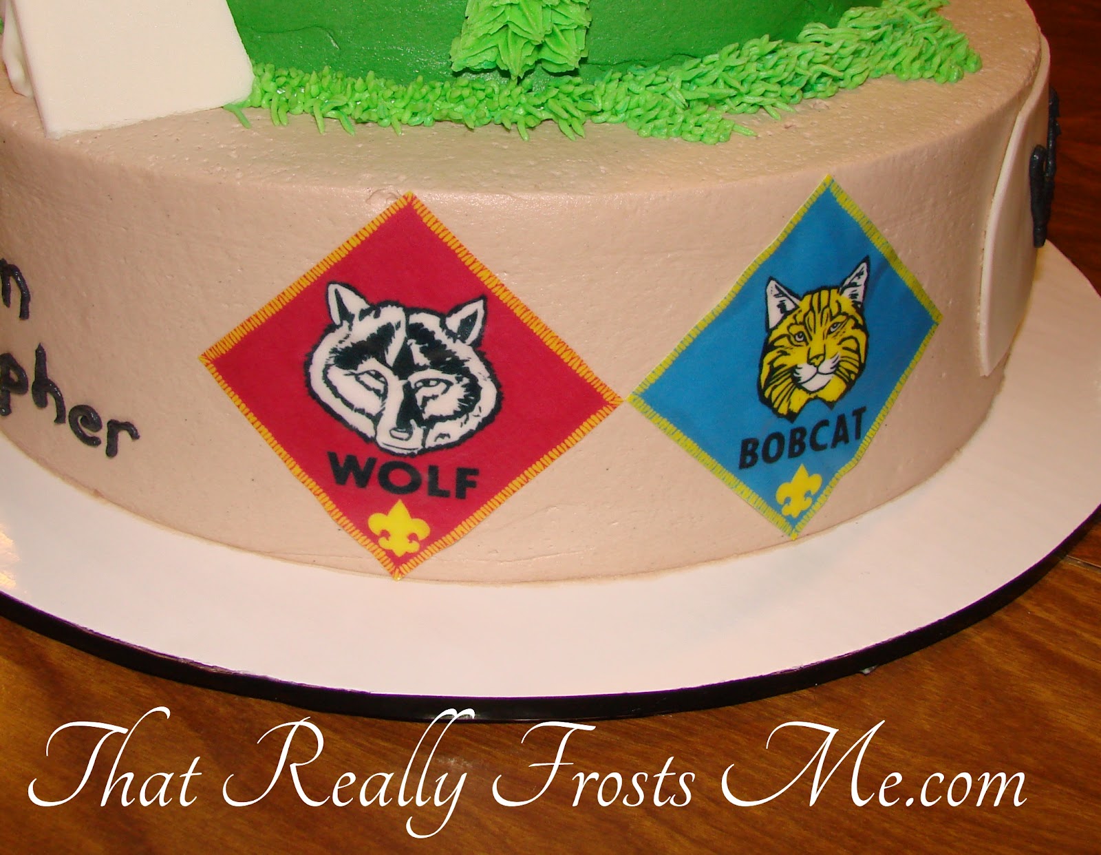 Most Creative Cub Scout Cake Sourlinscutlocep13 Blogcu Com