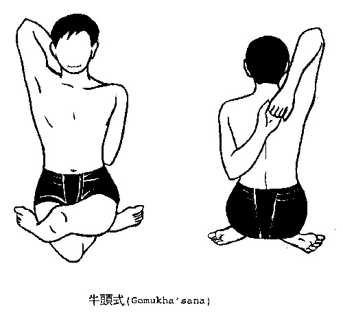 The Elegant Klutz: Gomukhasana or "Cow Face Pose"