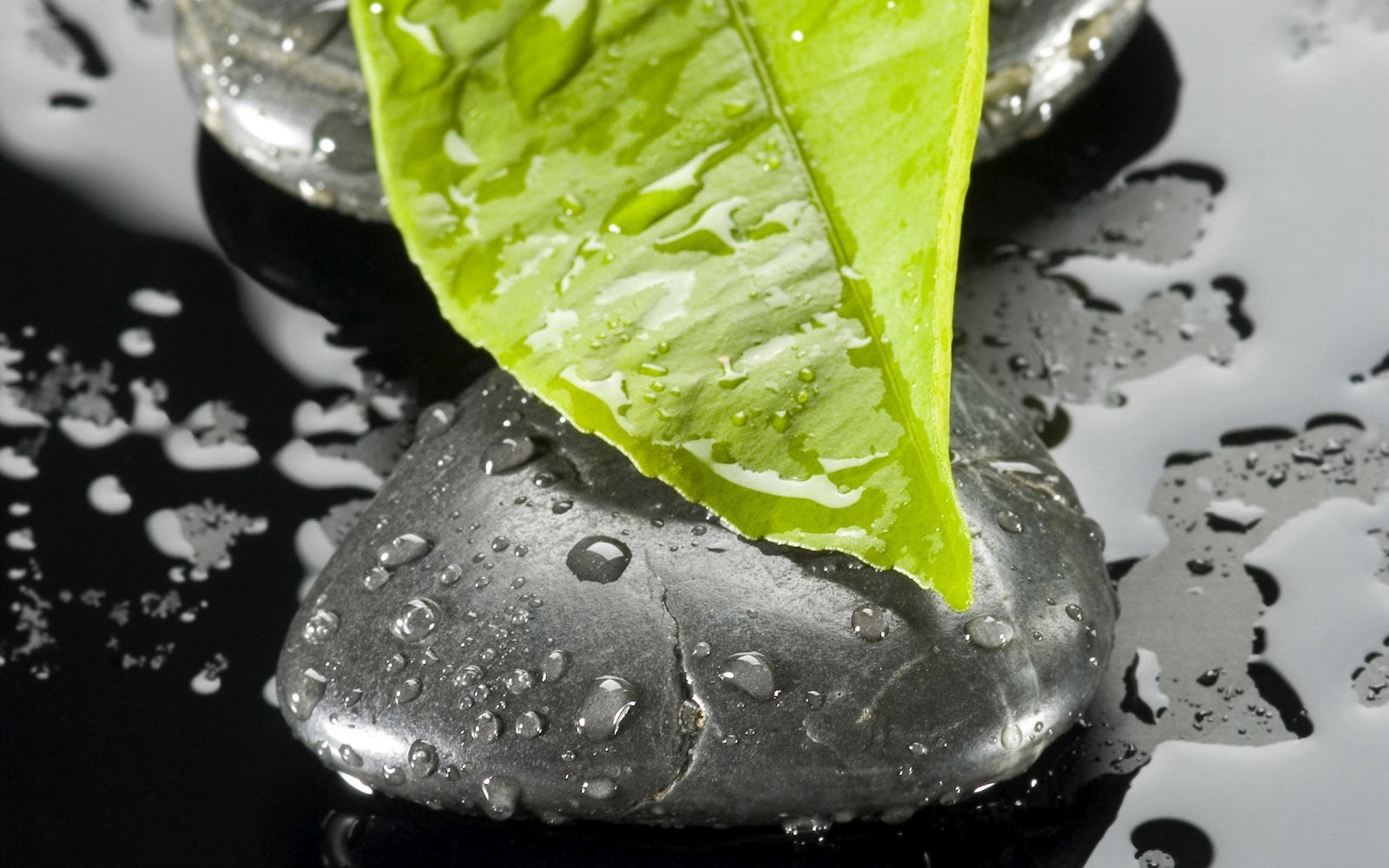 http://2.bp.blogspot.com/-LzOC43LKprM/UCj7icm91SI/AAAAAAAAHTI/MVdMgmnRDbE/s1600/Amazing+Wallpapers+%2812%29.jpg