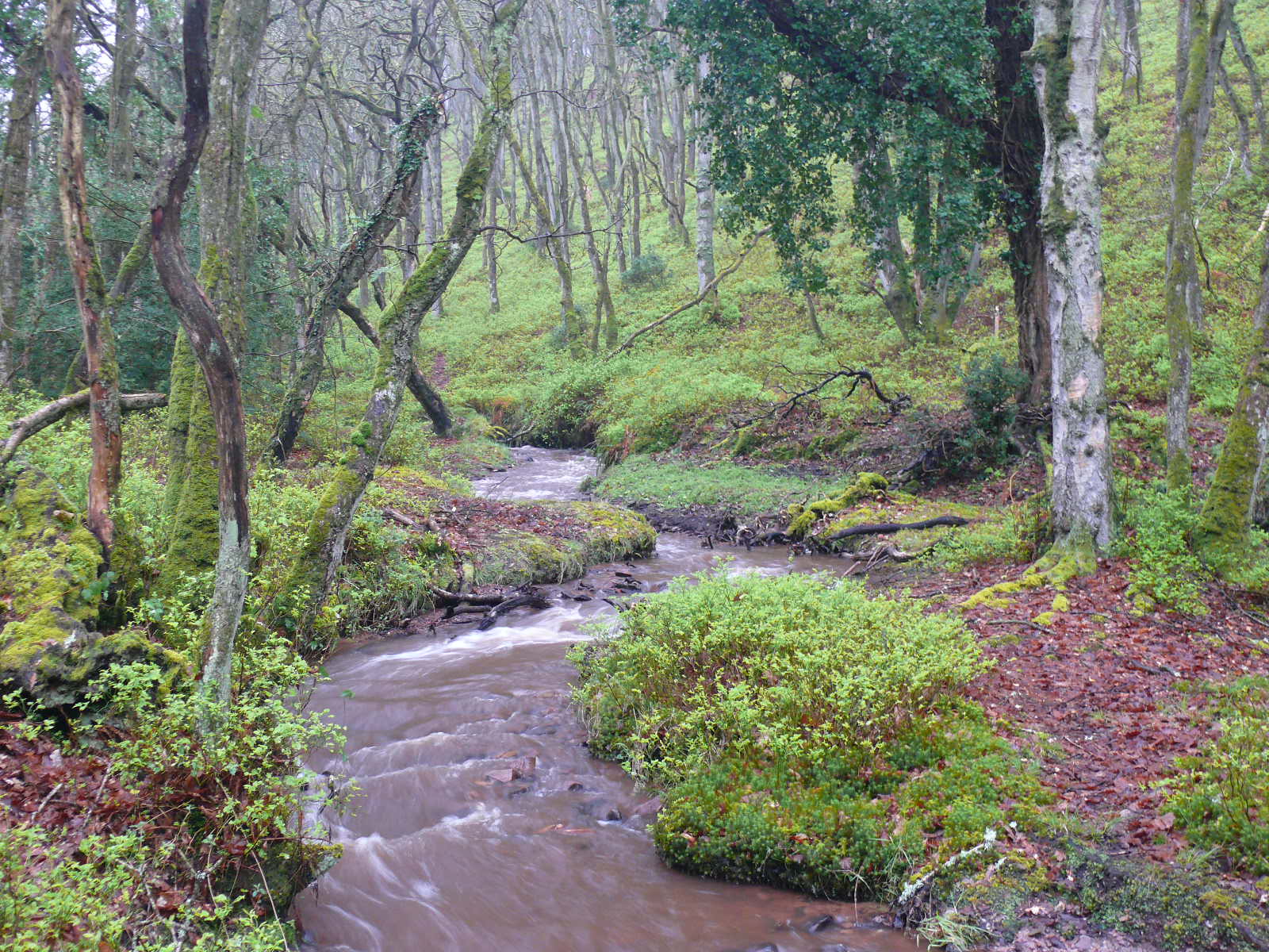 River holford coursework 07 image