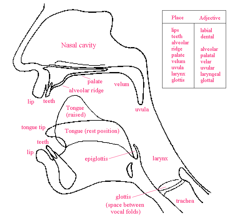 Thoughts...... March 2013