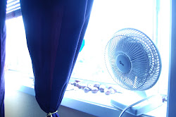 My Crappy Old Fan