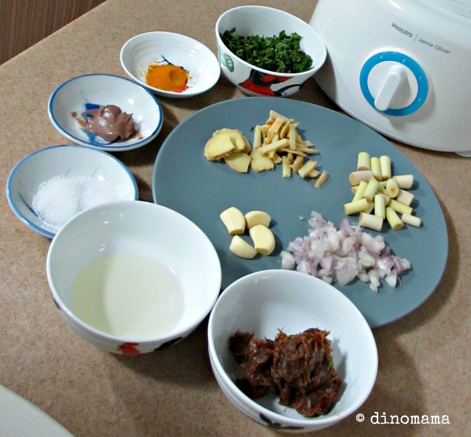 A tale of Jamie Oliver food processor & Laksa We are the DinoFamily