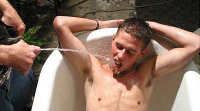 Lluvia Dorada Lluvia Dorada