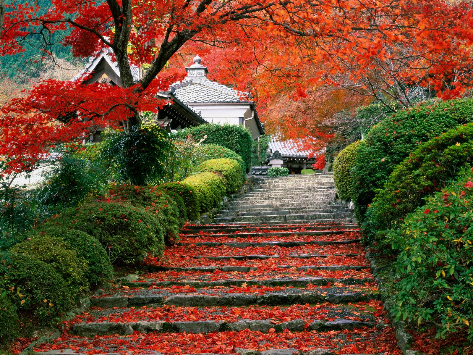 Japanese Gardens: Nature