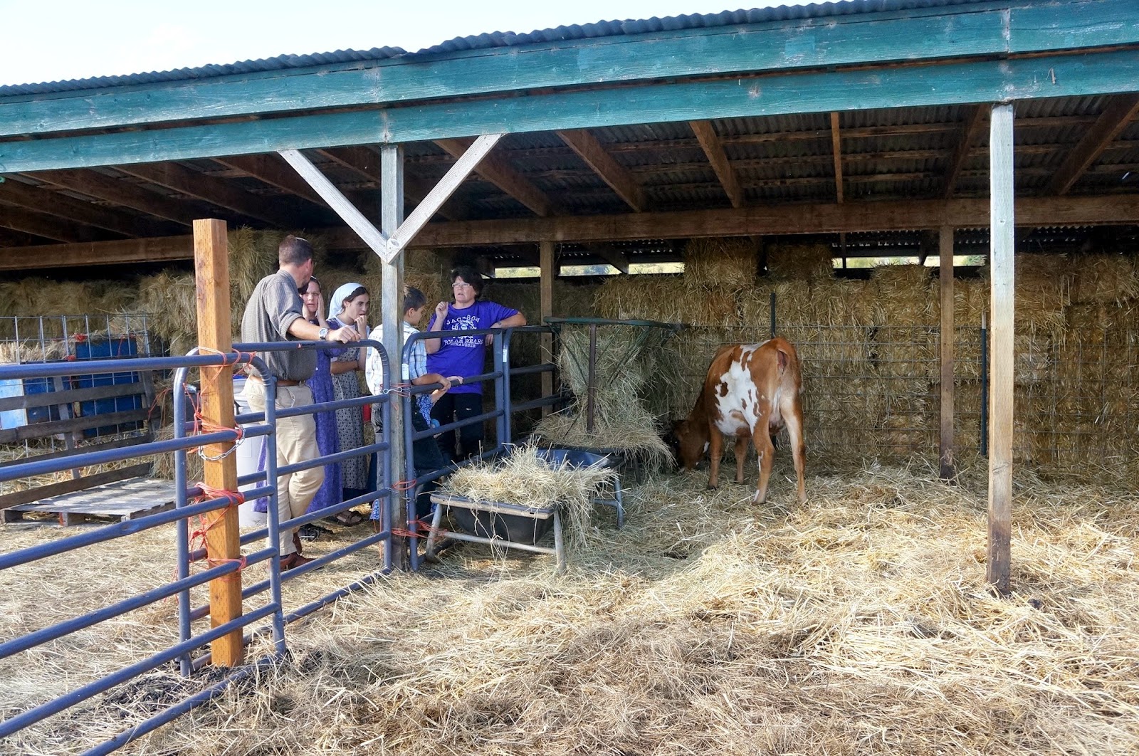 The McDonald Family Old McDonald's Farm!