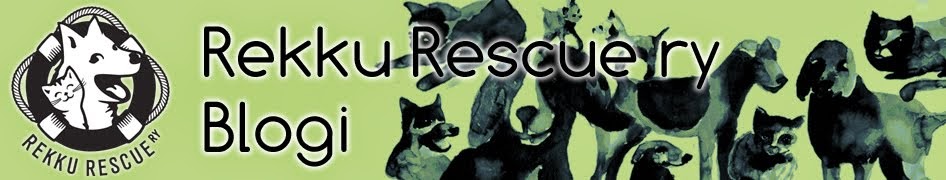 Rekku Rescue ry blogi
