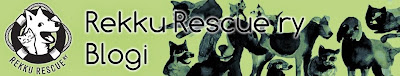 Rekku Rescue ry blogi