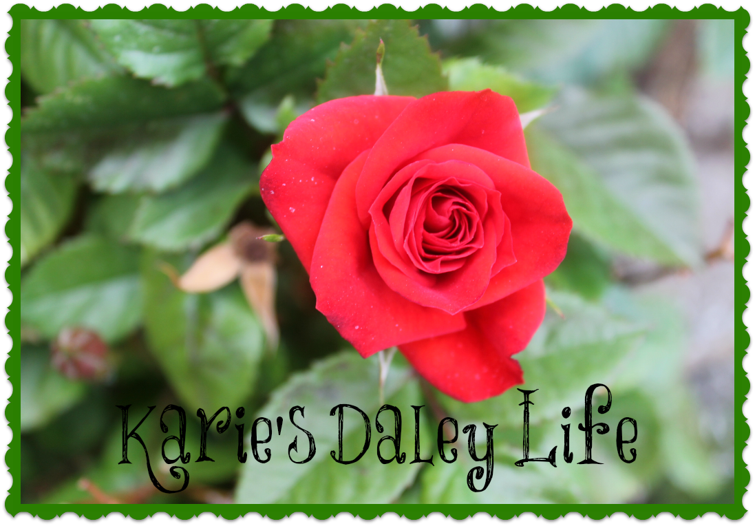  Karie's Daley Life