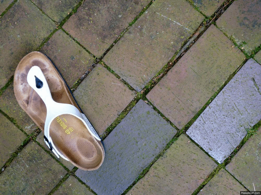 Birkenstock vs. Badelatschen c�est clairette