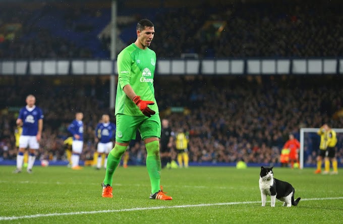 Rogue Cat wandered Everton and Dagenham & Redbridge match!